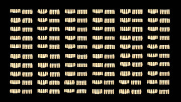 exocad Tooth Library (Perpetual Initial Purchase)